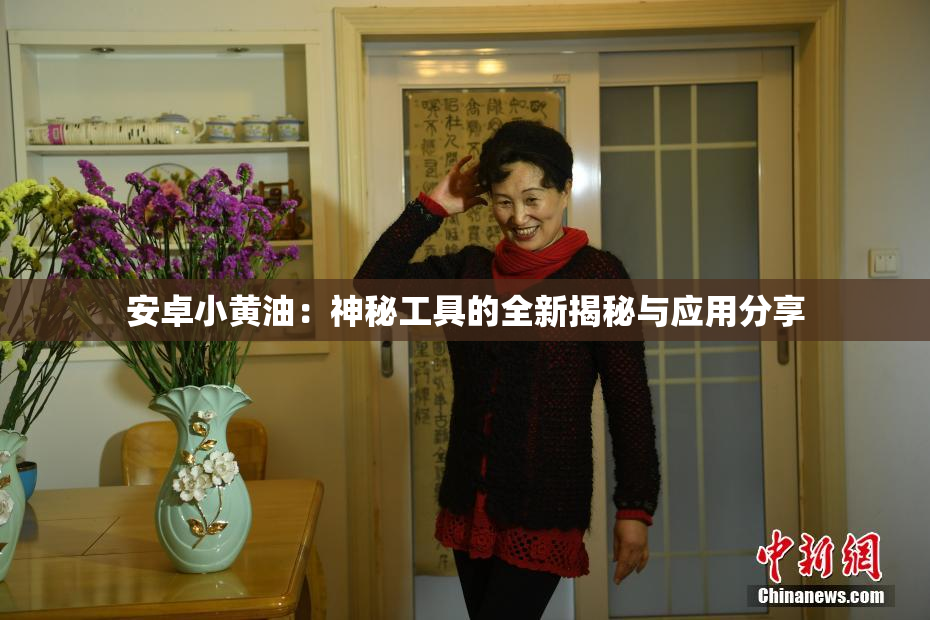安卓小黄油：神秘工具的全新揭秘与应用分享