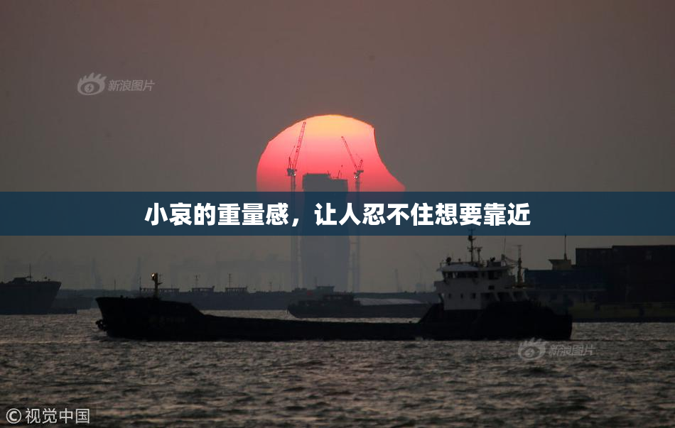 小哀的重量感，让人忍不住想要靠近