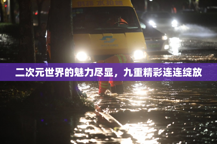 二次元世界的魅力尽显，九重精彩连连绽放