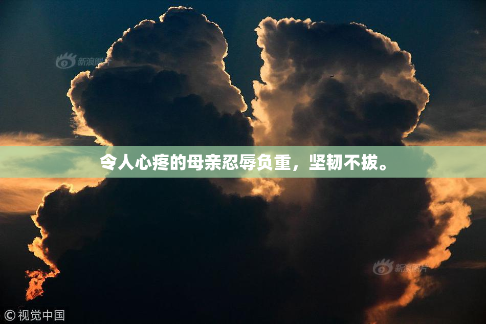 令人心疼的母亲忍辱负重，坚韧不拔。