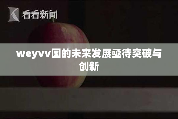 weyvv国的未来发展亟待突破与创新