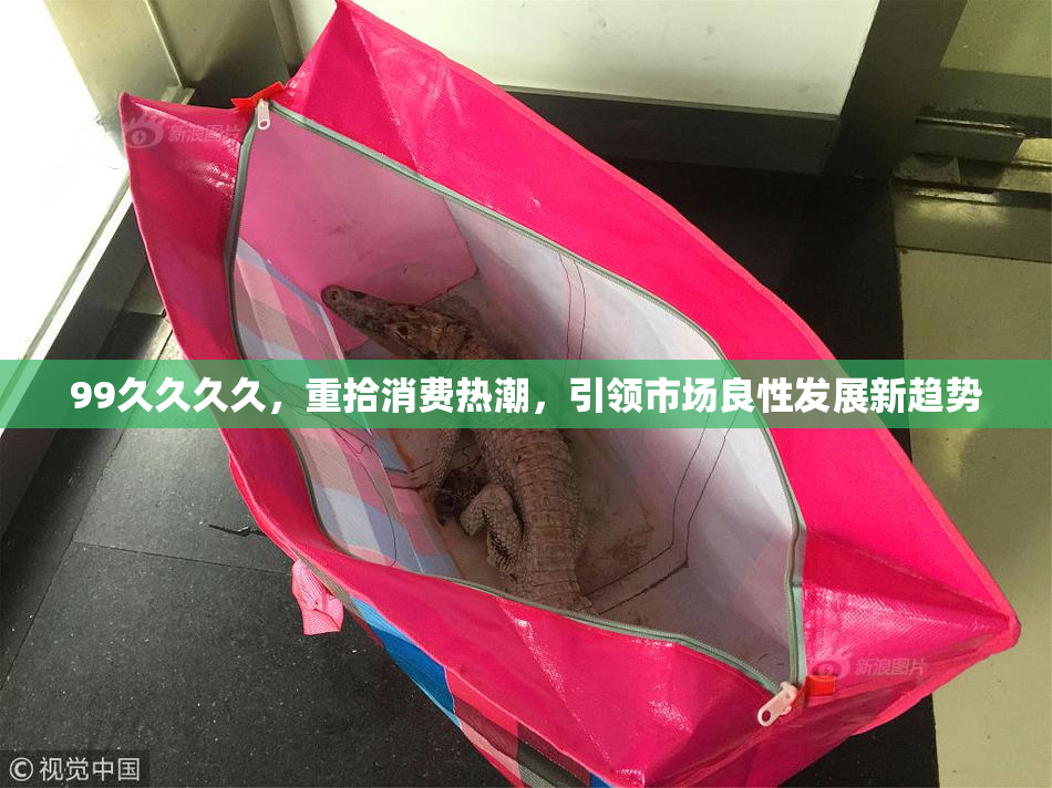 99久久久久，重拾消费热潮，引领市场良性发展新趋势