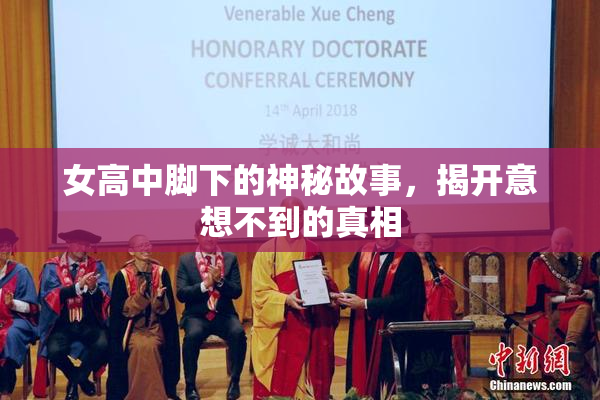 女高中脚下的神秘故事，揭开意想不到的真相