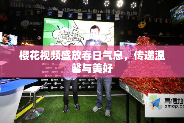 樱花视频盛放春日气息，传递温馨与美好