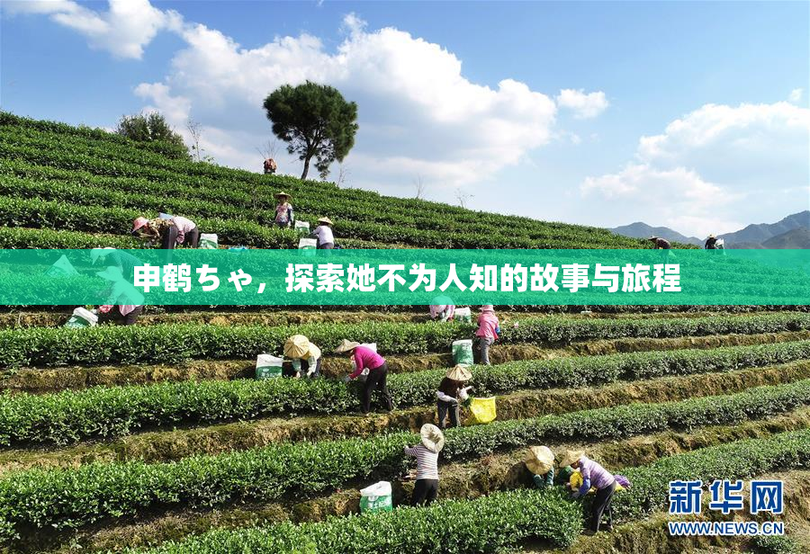 申鹤ちゃ，探索她不为人知的故事与旅程