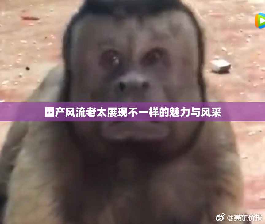 国产风流老太展现不一样的魅力与风采
