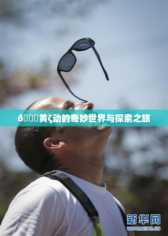 🔞黄ζ动的奇妙世界与探索之旅