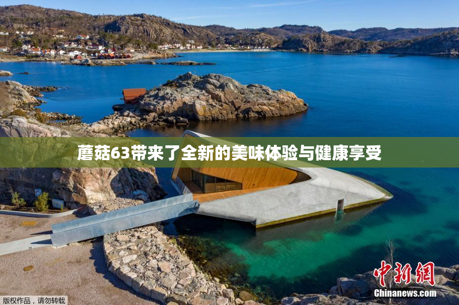 蘑菇63带来了全新的美味体验与健康享受