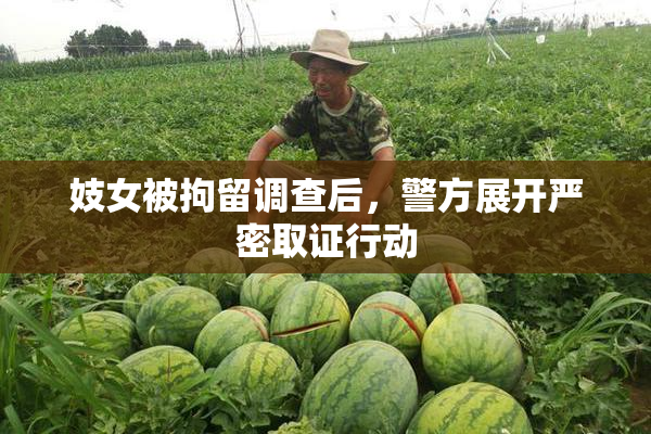 妓女被拘留调查后，警方展开严密取证行动