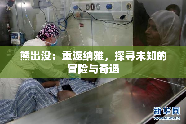 熊出没：重返纳雅，探寻未知的冒险与奇遇