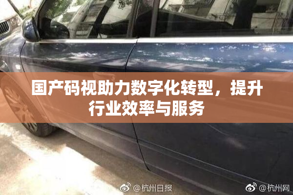 国产码视助力数字化转型，提升行业效率与服务