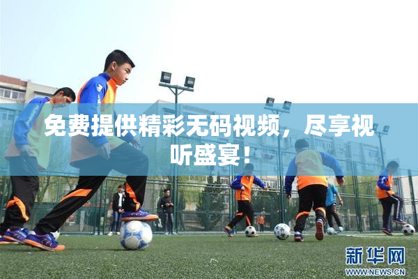 免费提供精彩无码视频，尽享视听盛宴！