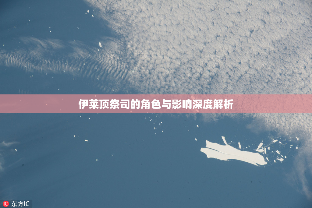伊莱顶祭司的角色与影响深度解析