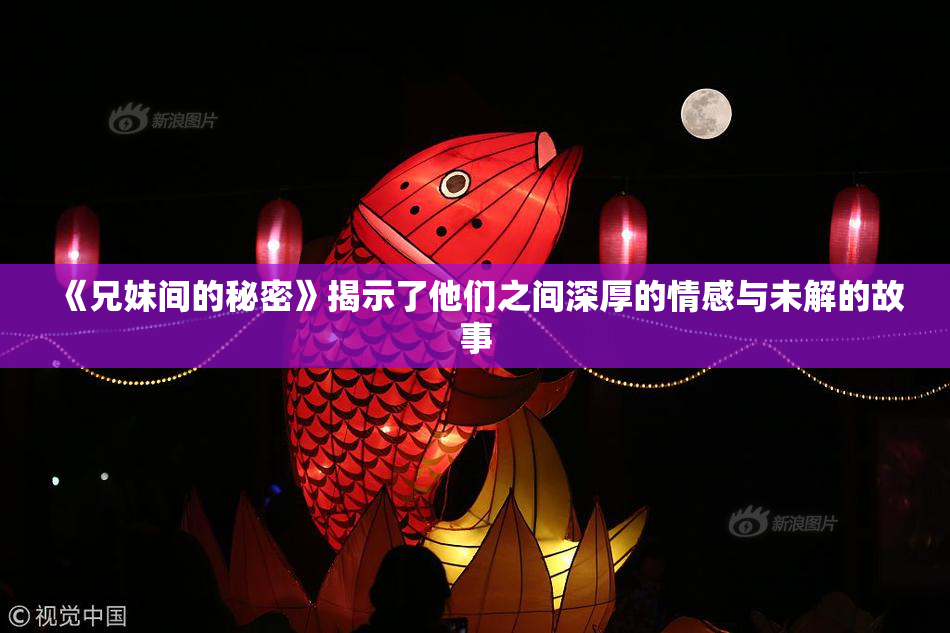《兄妹间的秘密》揭示了他们之间深厚的情感与未解的故事