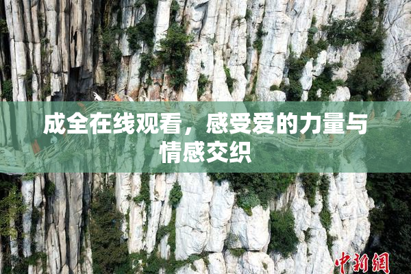 成全在线观看，感受爱的力量与情感交织