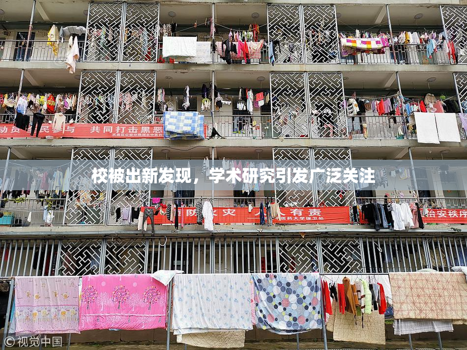 校被出新发现，学术研究引发广泛关注