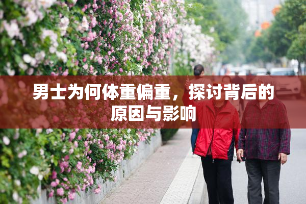 男士为何体重偏重，探讨背后的原因与影响