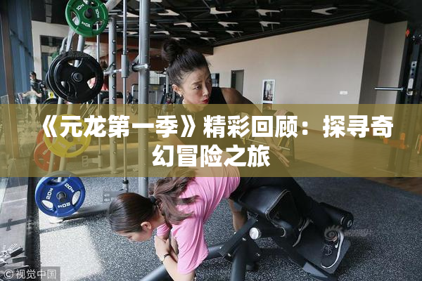 《元龙第一季》精彩回顾：探寻奇幻冒险之旅