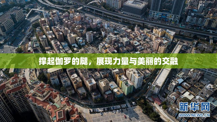 撑起伽罗的腿，展现力量与美丽的交融