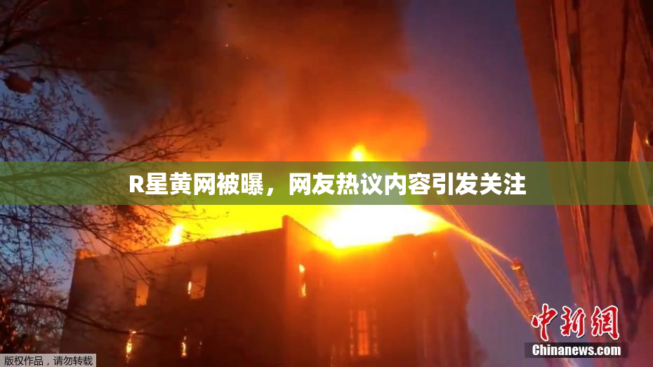 R星黄网被曝，网友热议内容引发关注