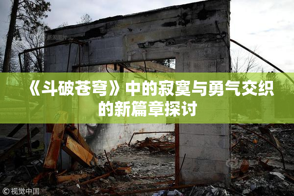 《斗破苍穹》中的寂寞与勇气交织的新篇章探讨