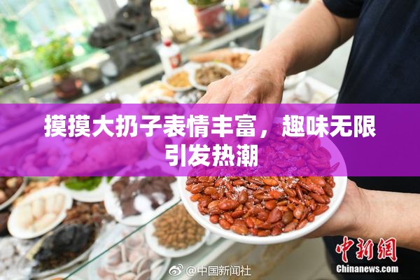 摸摸大扔子表情丰富，趣味无限引发热潮