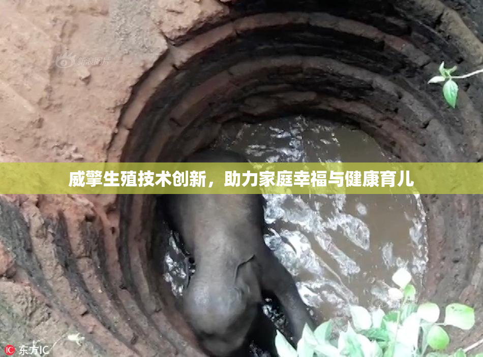 威擎生殖技术创新，助力家庭幸福与健康育儿