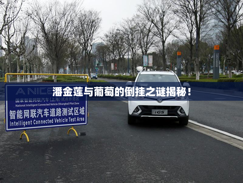 潘金莲与葡萄的倒挂之谜揭秘！