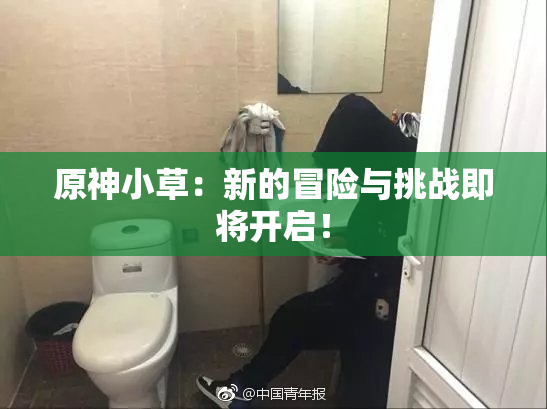 原神小草：新的冒险与挑战即将开启！