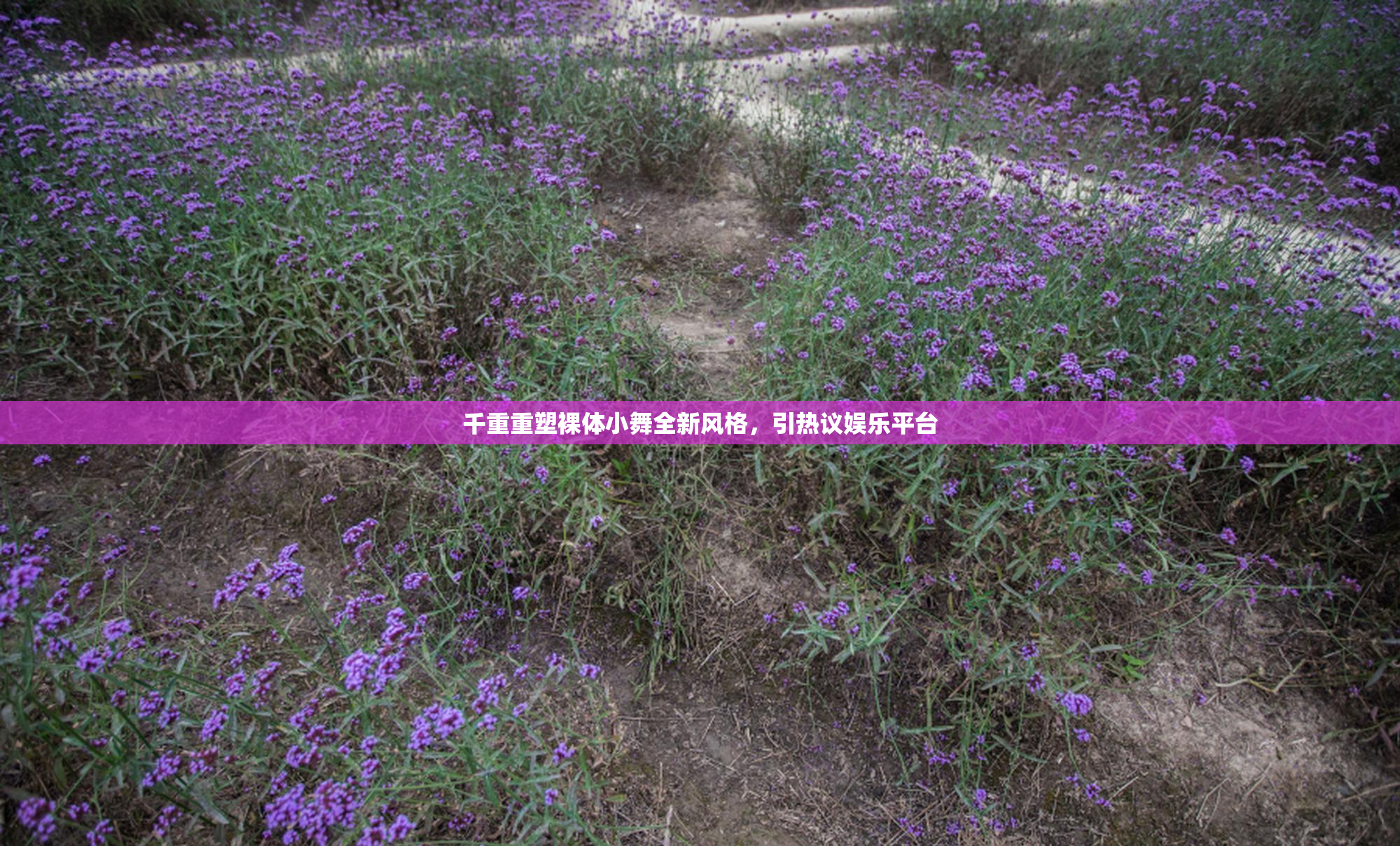 千重重塑裸体小舞全新风格，引热议娱乐平台