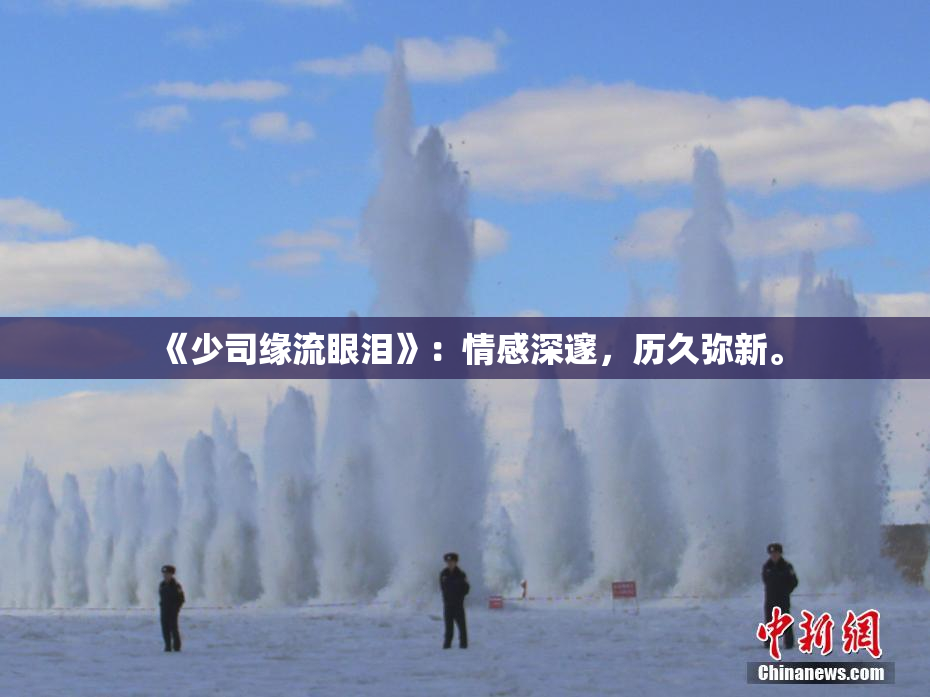 《少司缘流眼泪》：情感深邃，历久弥新。
