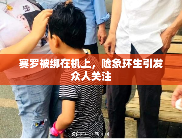 赛罗被绑在机上，险象环生引发众人关注