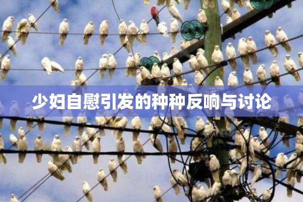 少妇自慰引发的种种反响与讨论