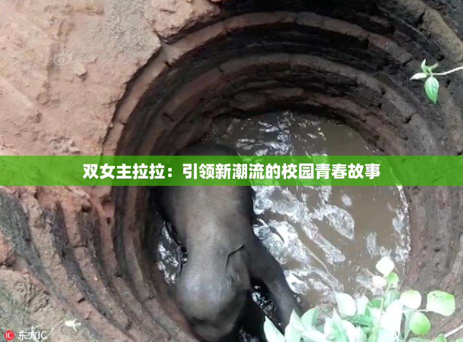 双女主拉拉：引领新潮流的校园青春故事