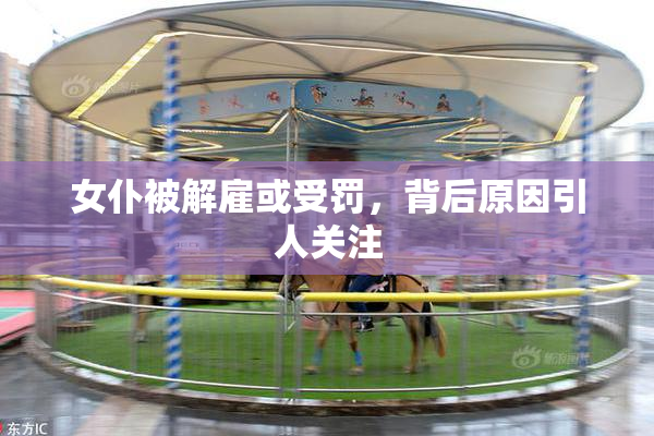 女仆被解雇或受罚，背后原因引人关注