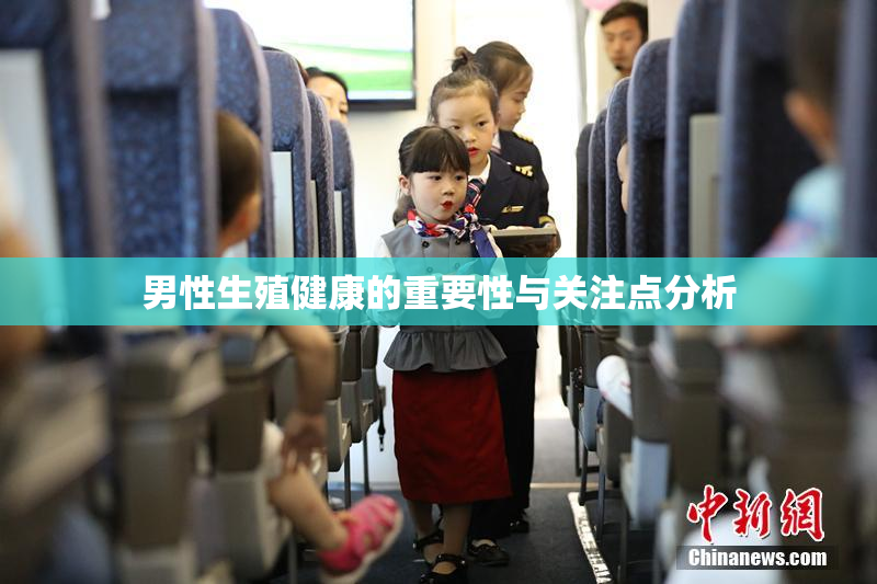 男性生殖健康的重要性与关注点分析
