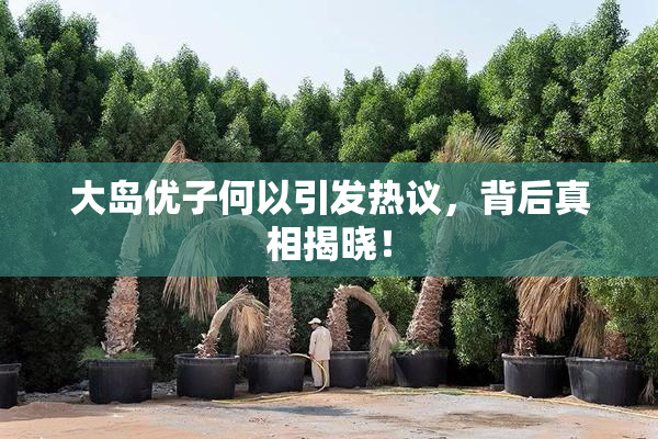 大岛优子何以引发热议，背后真相揭晓！