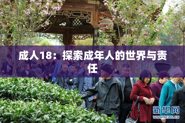 成人18：探索成年人的世界与责任