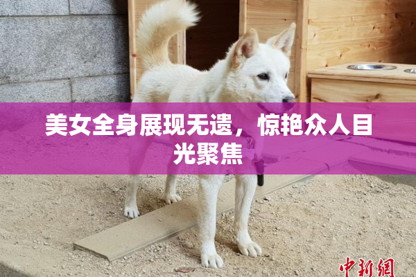 美女全身展现无遗，惊艳众人目光聚焦