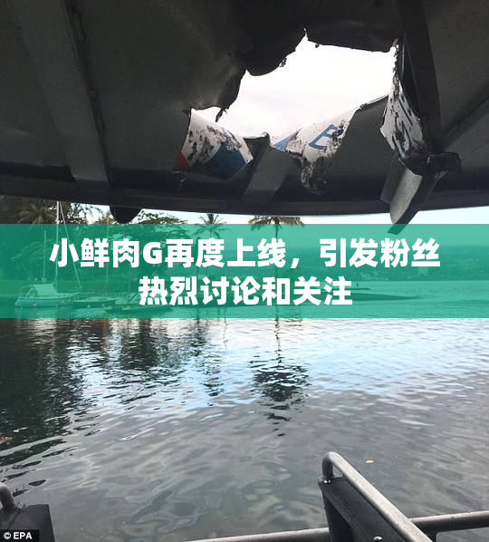 小鲜肉G再度上线，引发粉丝热烈讨论和关注