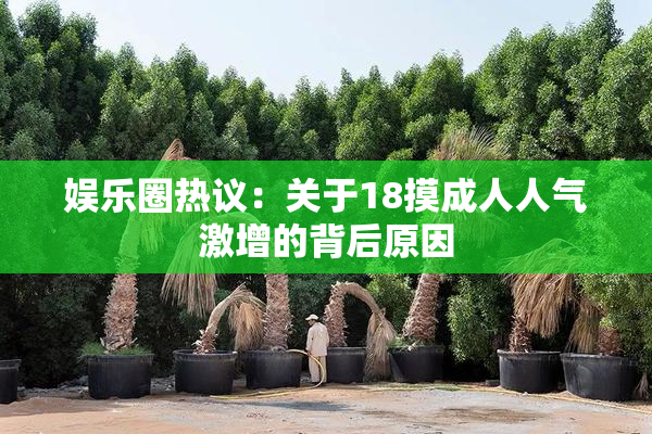 娱乐圈热议：关于18摸成人人气激增的背后原因