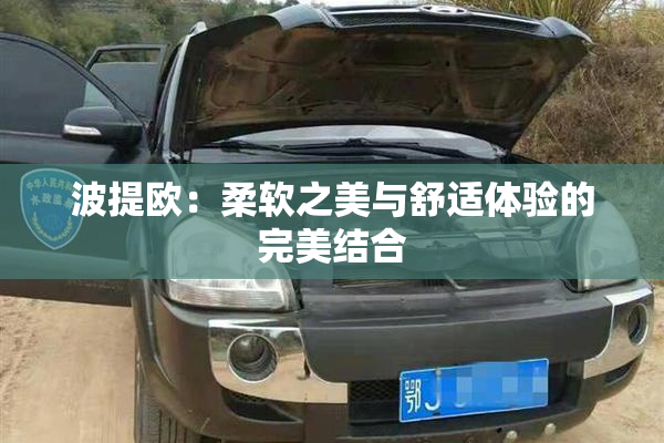 波提欧：柔软之美与舒适体验的完美结合