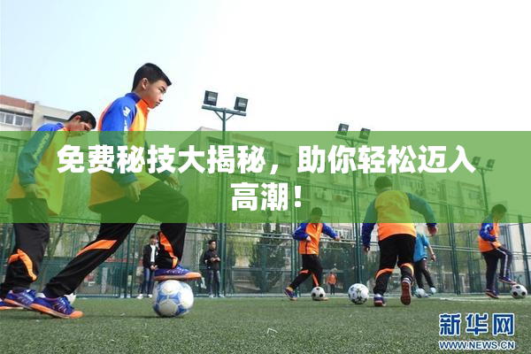 免费秘技大揭秘，助你轻松迈入高潮！