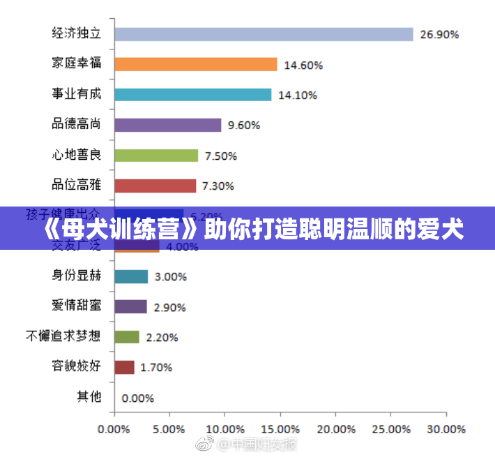 《母犬训练营》助你打造聪明温顺的爱犬