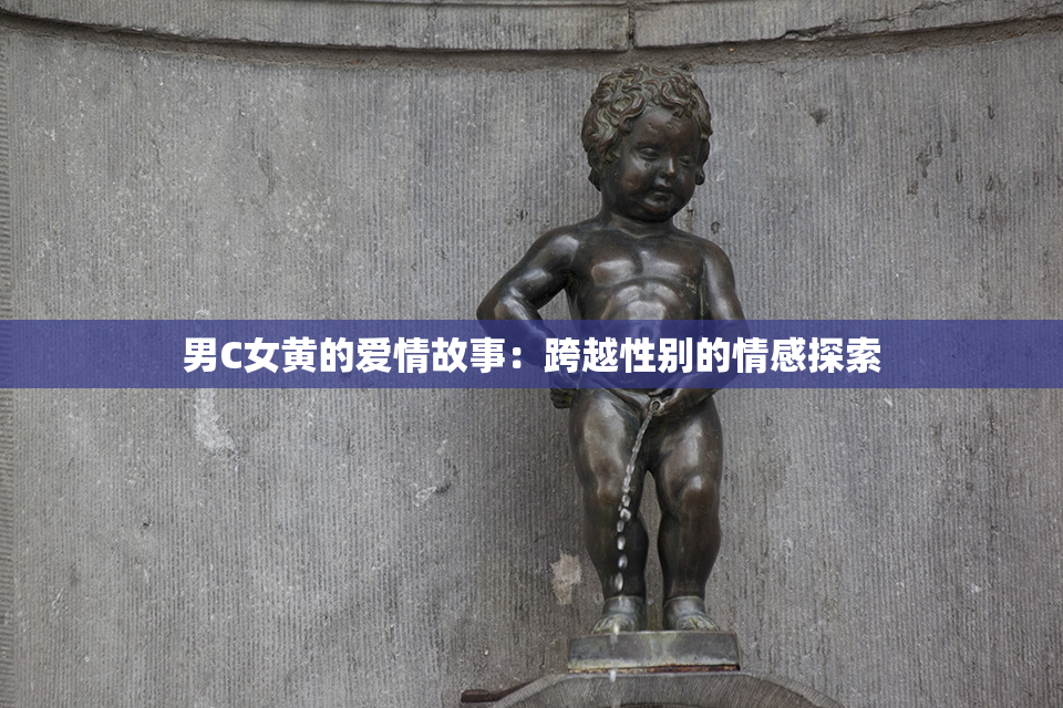 男C女黄的爱情故事：跨越性别的情感探索