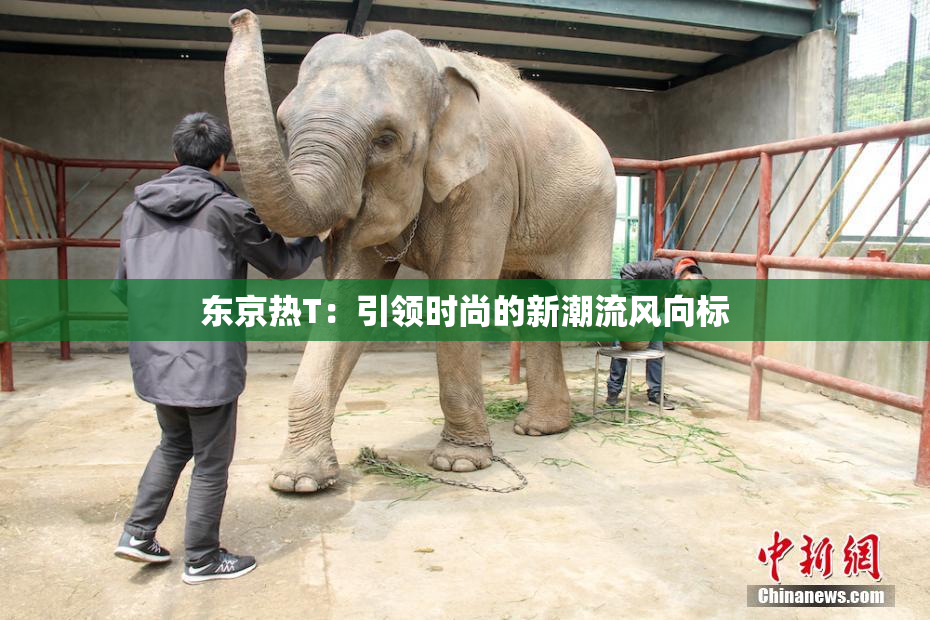 东京热T：引领时尚的新潮流风向标