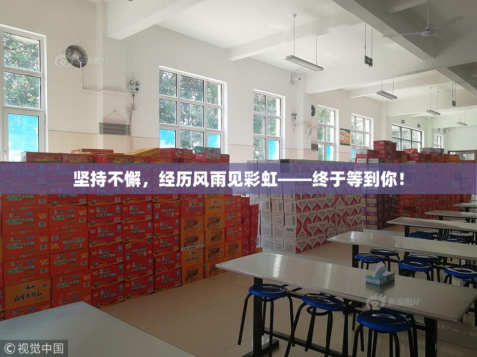 坚持不懈，经历风雨见彩虹——终于等到你！