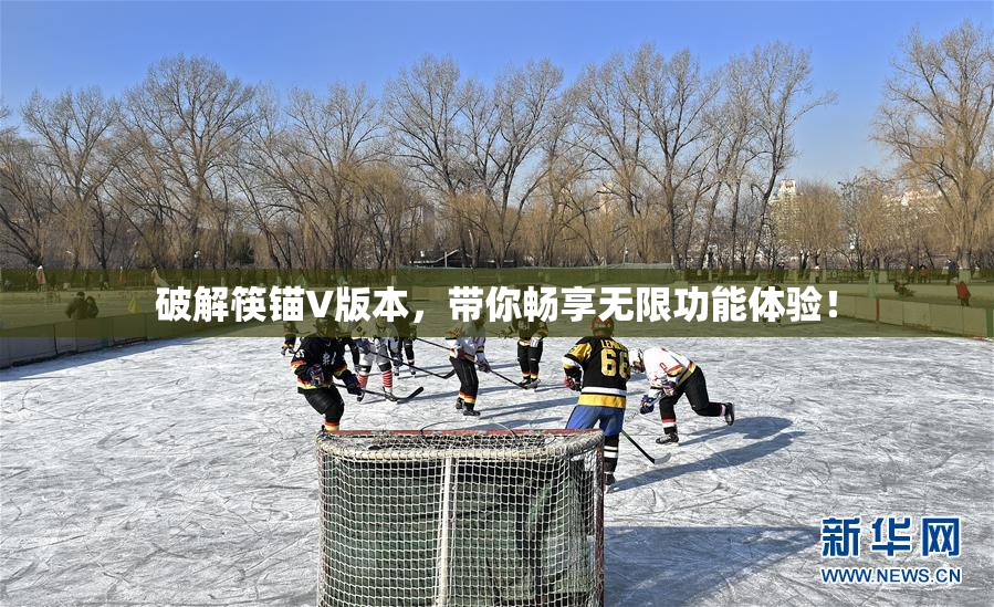 破解筷锚V版本，带你畅享无限功能体验！