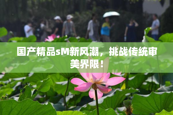 国产精品sM新风潮，挑战传统审美界限！