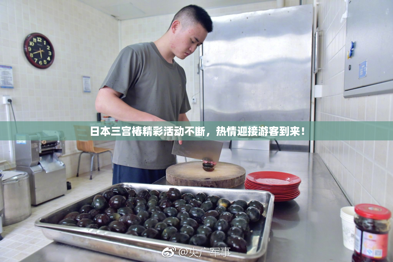 日本三宫椿精彩活动不断，热情迎接游客到来！